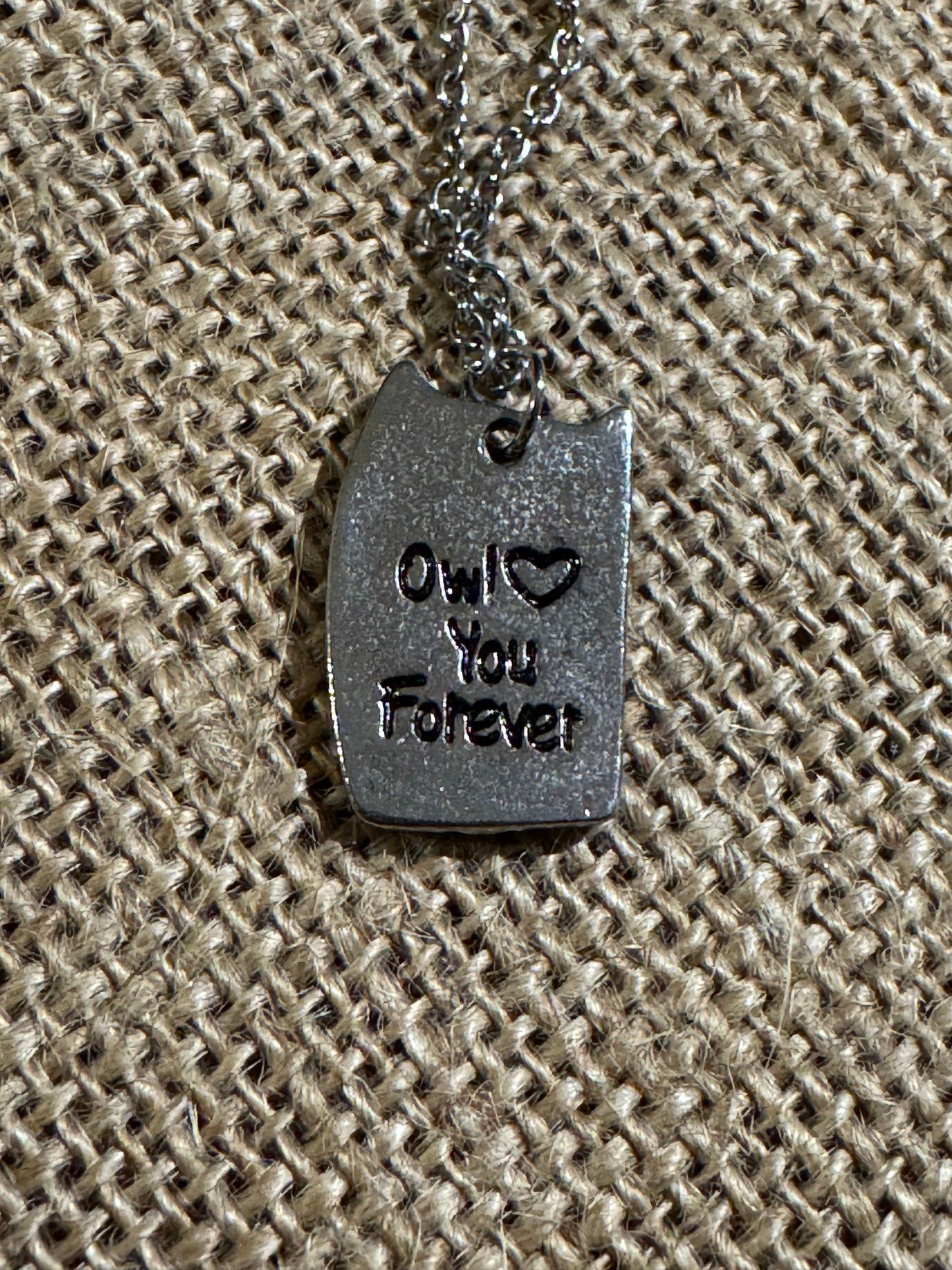 Silver-Tone Owl Pendant Necklace — Hidden Message Design